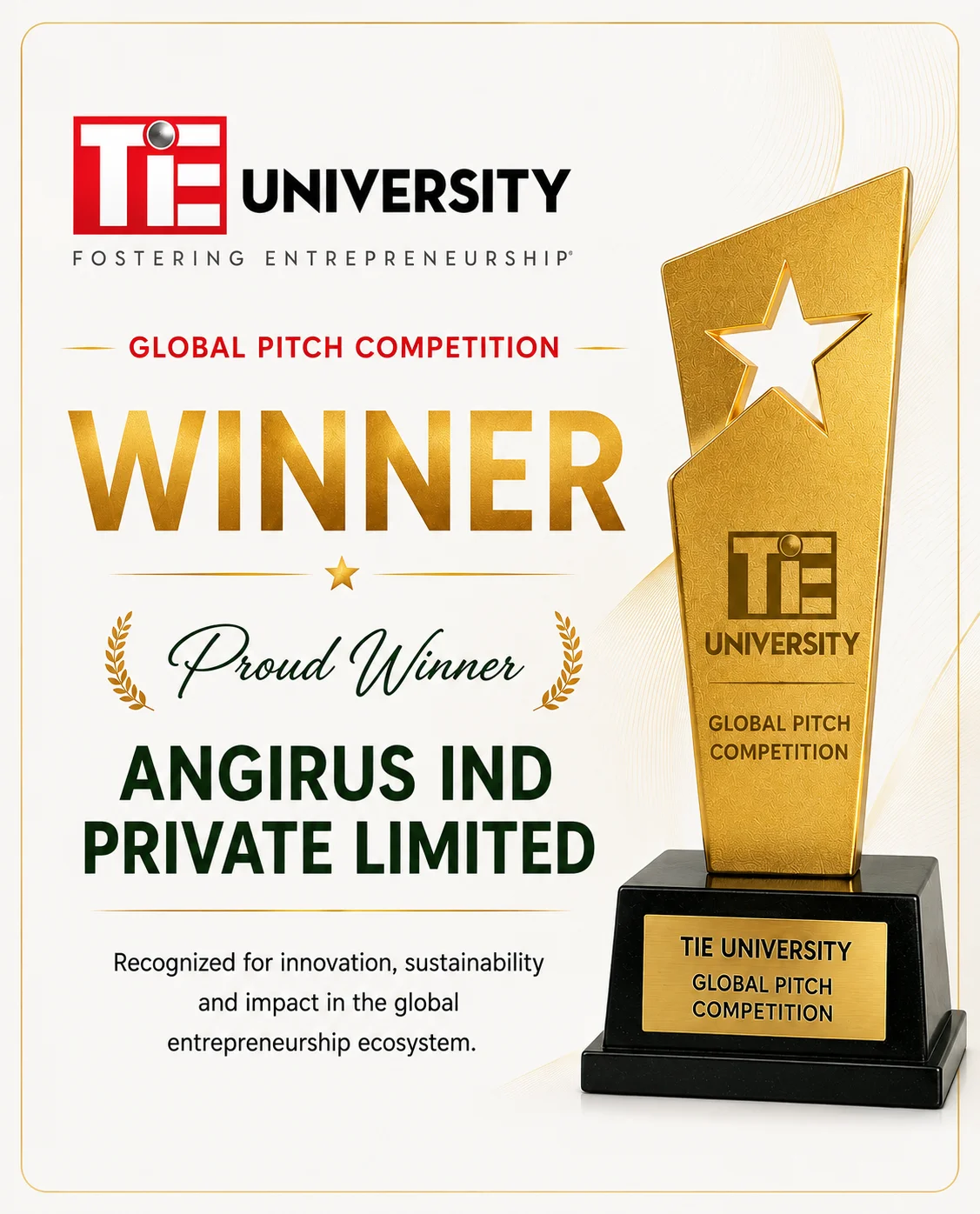 TiE University — Global Stage Winner